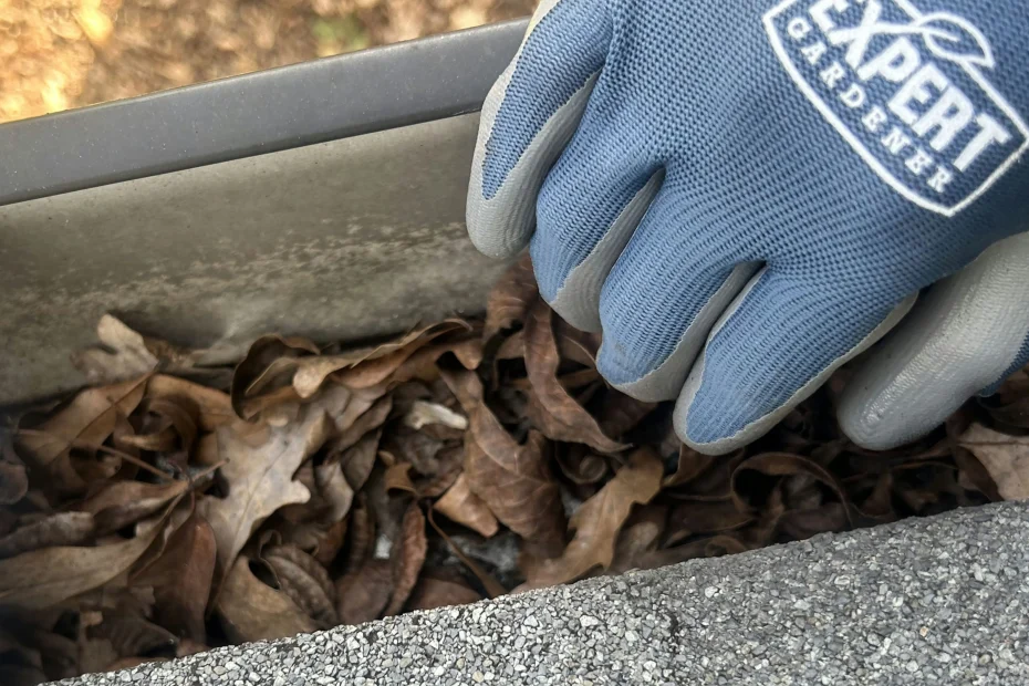 Annapolis Gutter Cleaning