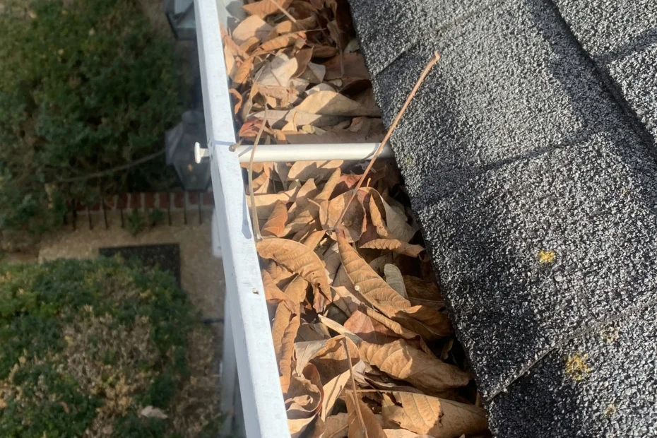 Annapolis Gutter Cleaning