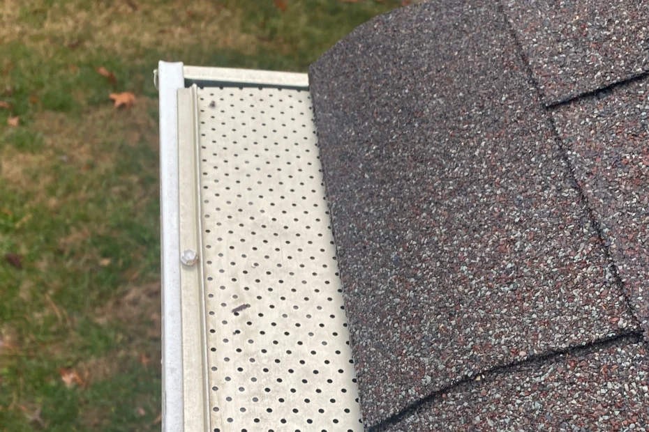 Annapolis Gutter Cleaning