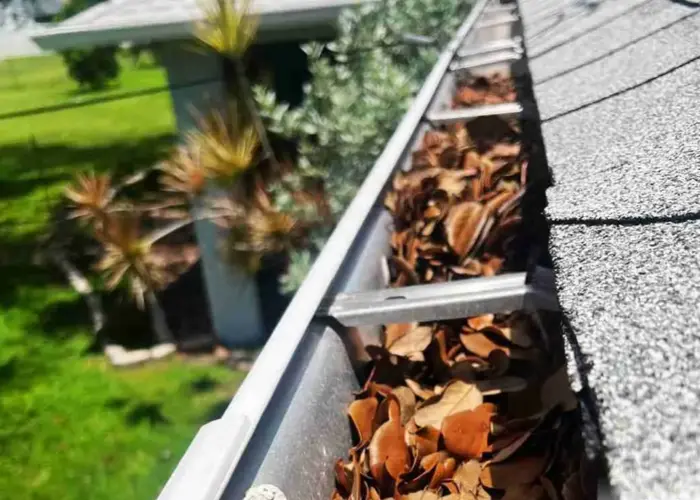 Annapolis gutter cleaning home page